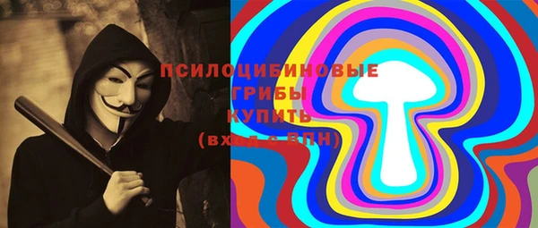 шишки Алексин