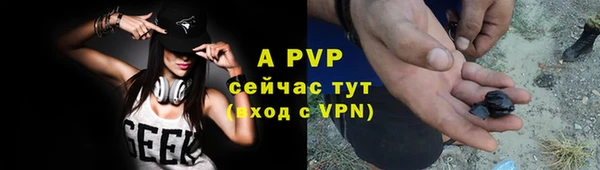 шишки Арсеньев