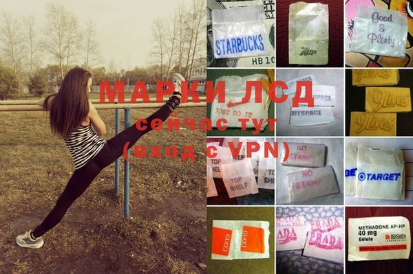 шишки Алексин