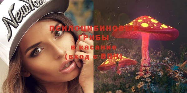 стафф Алексеевка