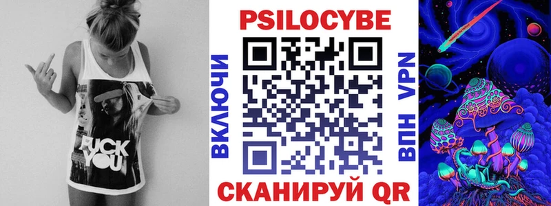 Псилоцибиновые грибы Psilocybe  гидра tor  Бабаево 